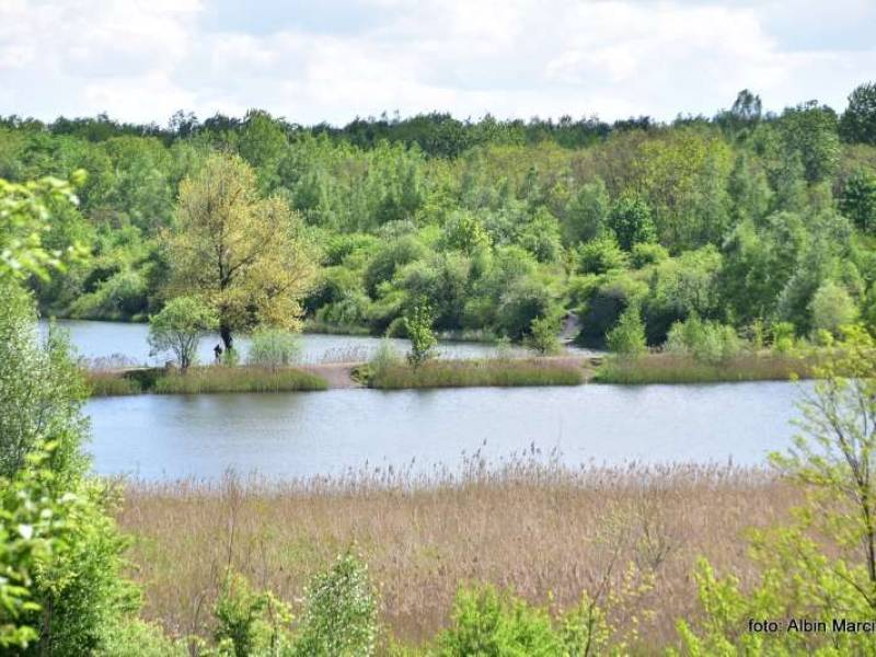 Zespół przyrodniczo-krajobrazowy Żabie Doły koło Bytomia