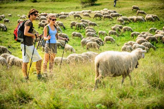 Lato 2020 Central Slovakia 5