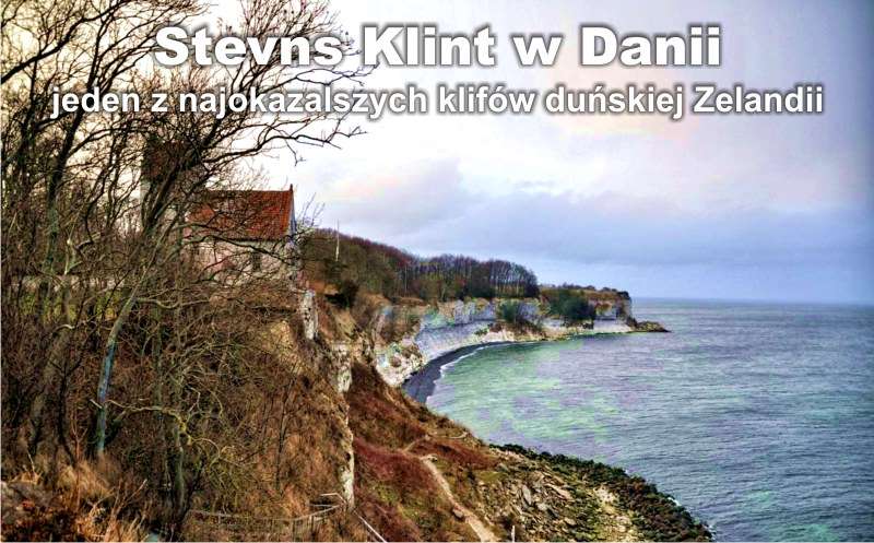 Stevns Klint Stevns Klint w Danii baner