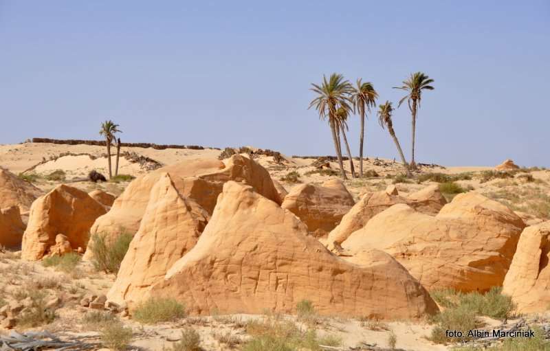 Fatnassa Kebili Tunisia Africa 26