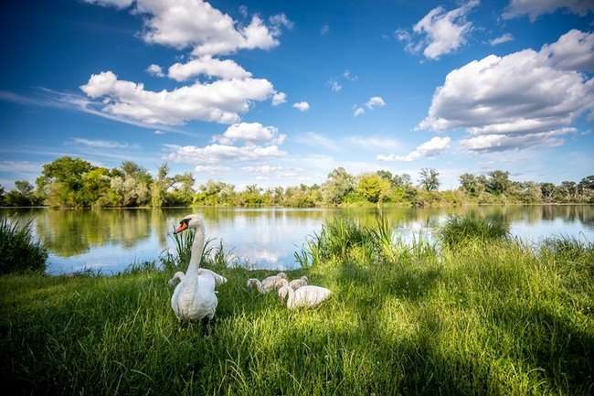 Savica jezera Julien Duval