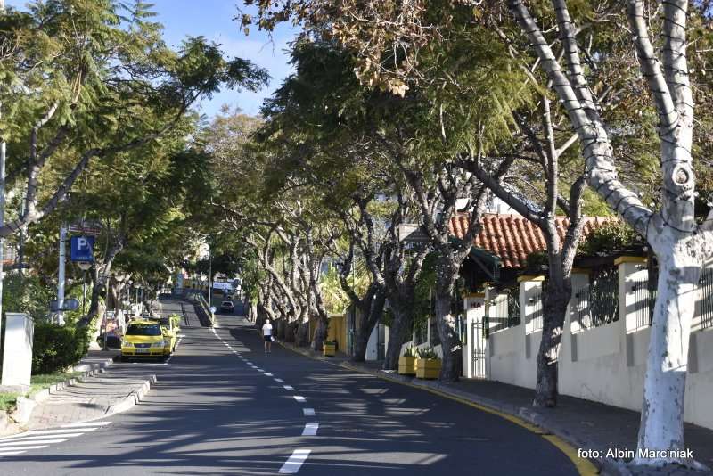 Madeira Portugal Funchal 20