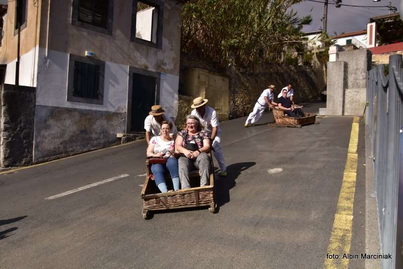 Madeira Portugal Funchal 376