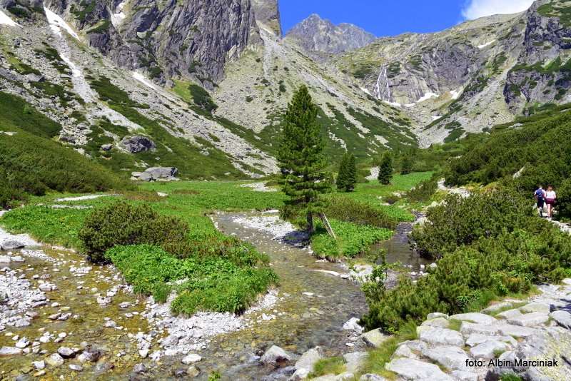 Dolina Małej Zimnej Wody Tatry Słowacja 14 1