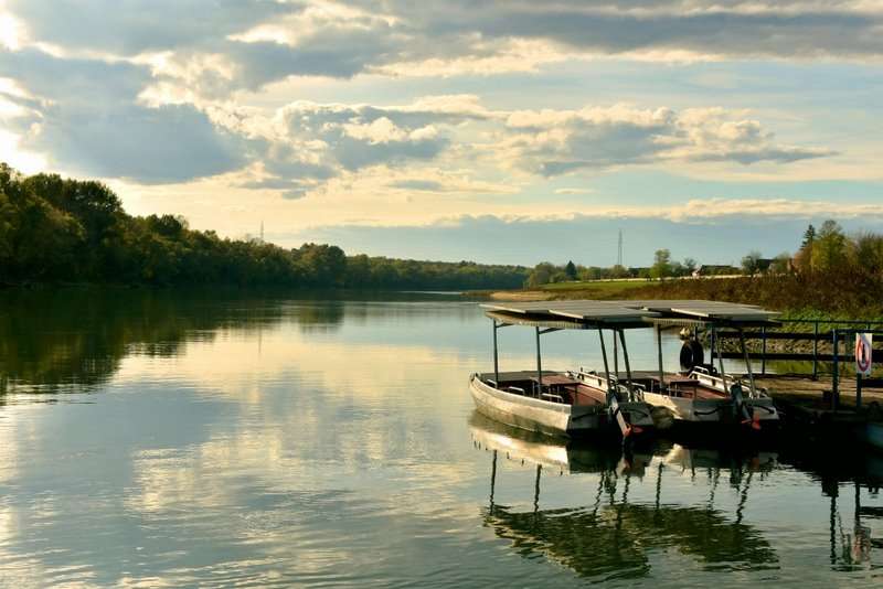 Lonjsko Polje foto Albin Marciniak 1