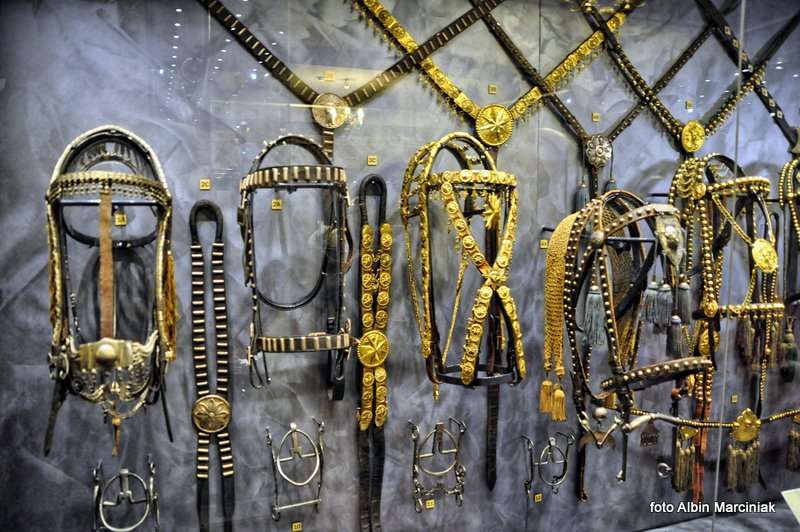 Muzeum w Tarnowie 14