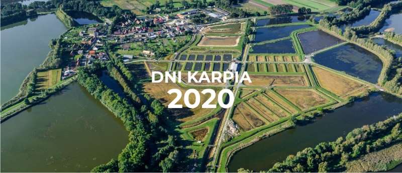 Dni Karpia 2020 3