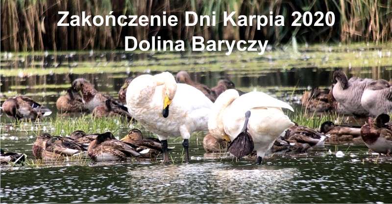 Zakończenie Dni Karpia 2020 1