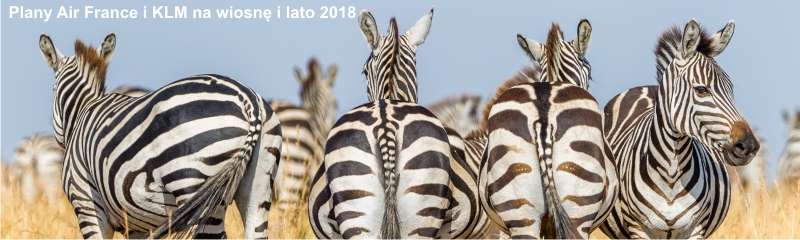 Plany Air France i KLM na wiosnę i lato 2018