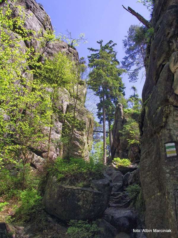 Białe Skały Góry Stołowe 11