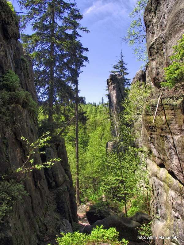 Białe Skały Góry Stołowe 12