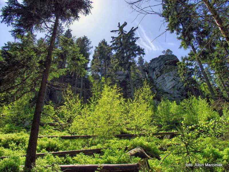 Białe Skały Góry Stołowe 2