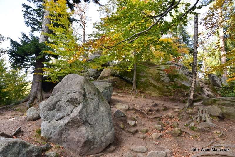 Sokoliki w Rudawach Janowickich na Dolnym Slasku Sokole Gory 2