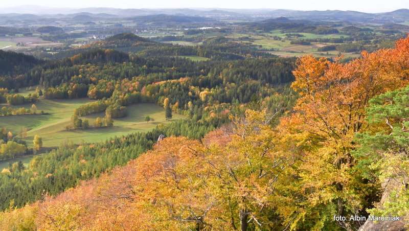 Sokoliki w Rudawach Janowickich na Dolnym Slasku Sokole Gory 25