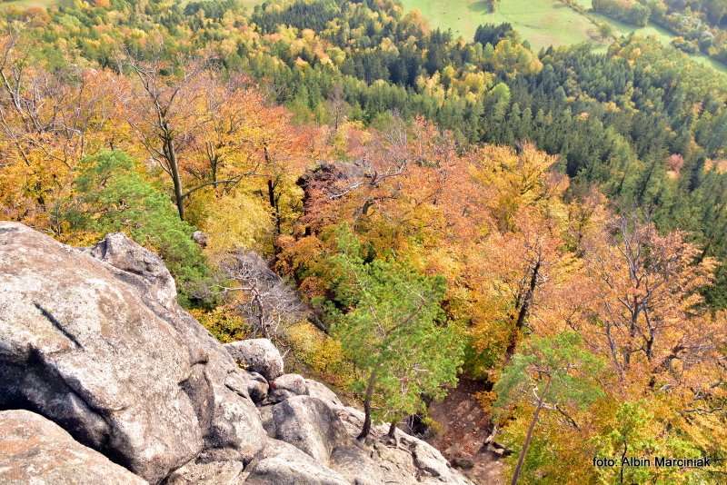 Sokoliki w Rudawach Janowickich na Dolnym Slasku Sokole Gory 26