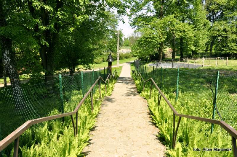 Zespol budownictwa drewnianego na Woli Justowskiej w Krakowie 8