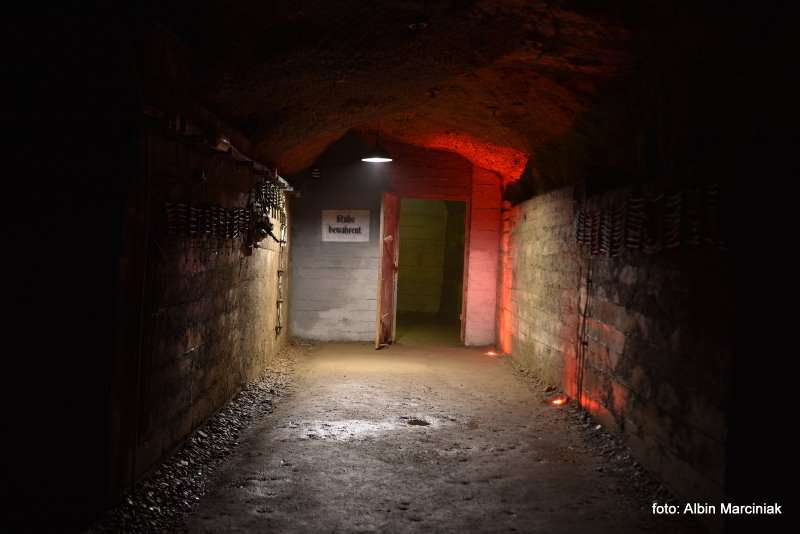 Projekt Arado Zaginione labolatorium Hitlera. Kamienna Gora na Dolnym Slasku 101