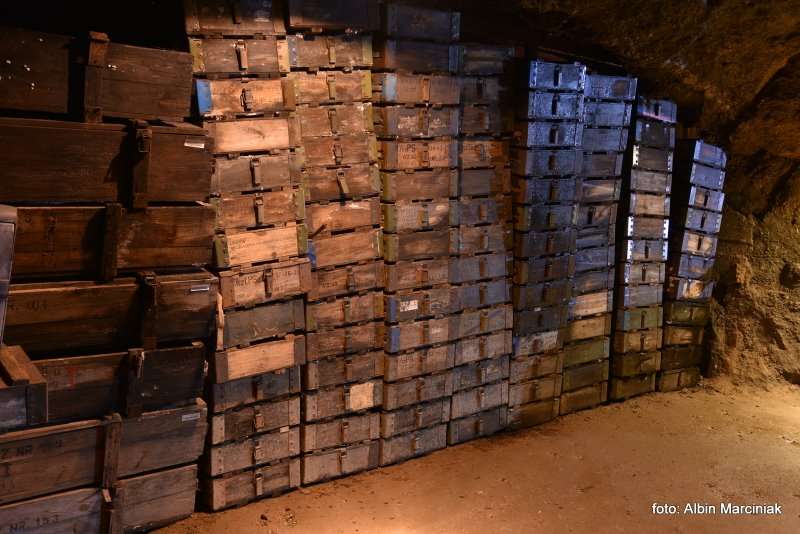 Projekt Arado Zaginione labolatorium Hitlera. Kamienna Gora na Dolnym Slasku 117