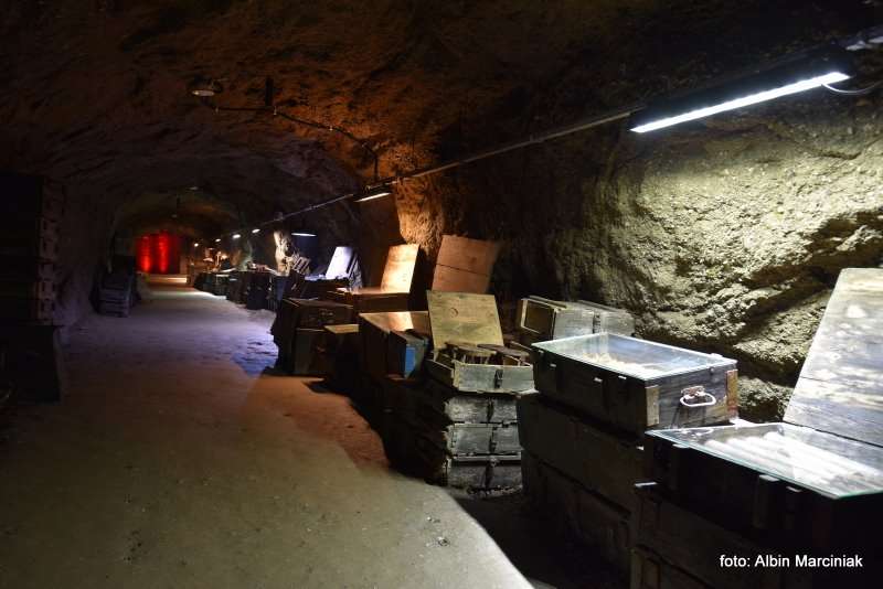 Projekt Arado Zaginione labolatorium Hitlera. Kamienna Gora na Dolnym Slasku 118