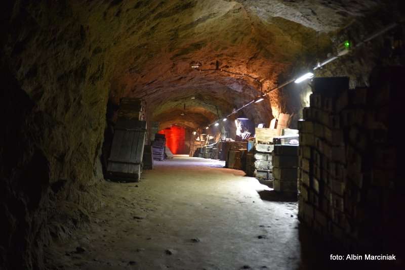 Projekt Arado Zaginione labolatorium Hitlera. Kamienna Gora na Dolnym Slasku 73