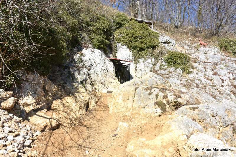 Jaskinia Nietoperzowa 13