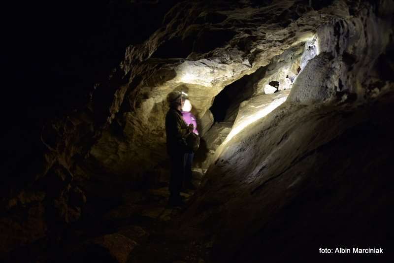 Jaskinia Radochowska 16