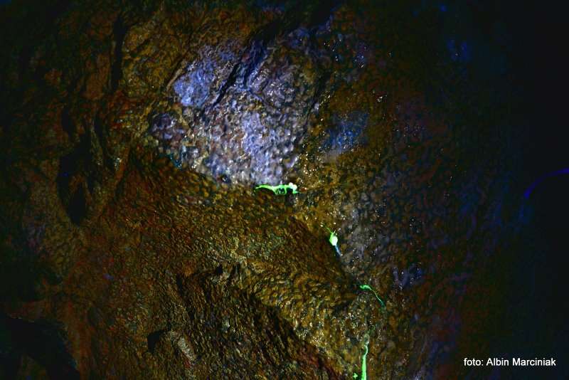 Kopalnia Uranu Podgorze Kowary Dolny Slask 7