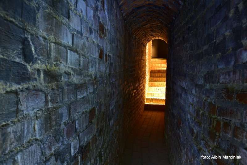 Rzeszowskie Piwnice podziemna trasa turystyczna 20
