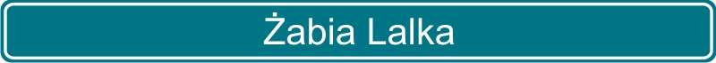 155 Żabia Lalka