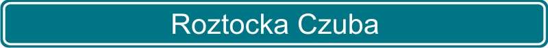 88 Roztocka Czuba