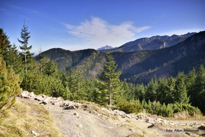 Sarnia Skała Tatry 15