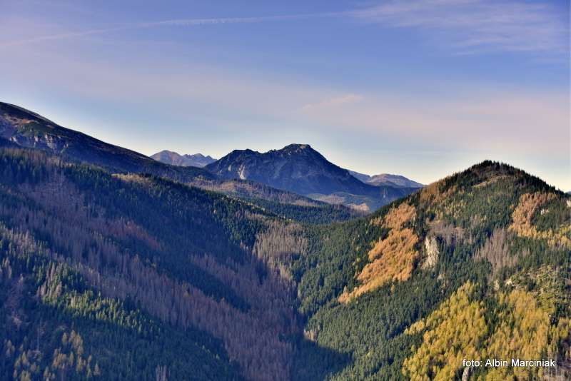 Sarnia Skała Tatry 4