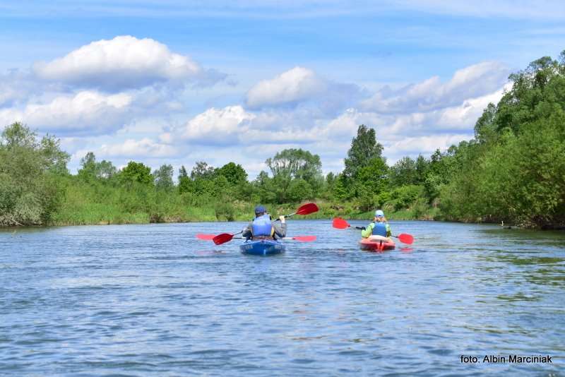 kajaki spływ na skawie 10