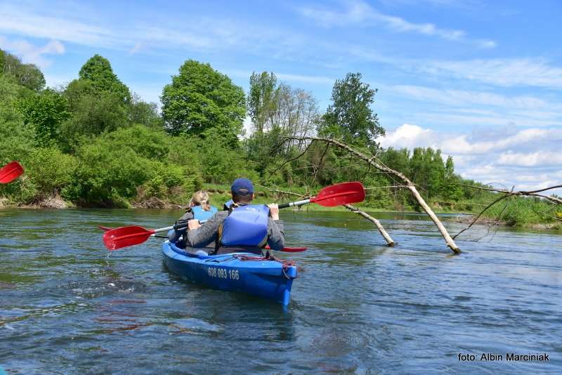 kajaki spływ na skawie 12