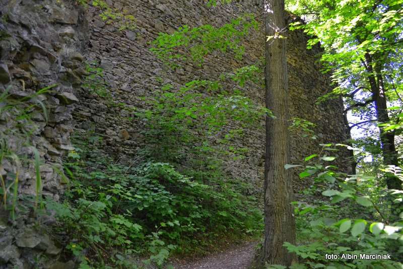 Zamek Cisy Dolny Śląsk 8