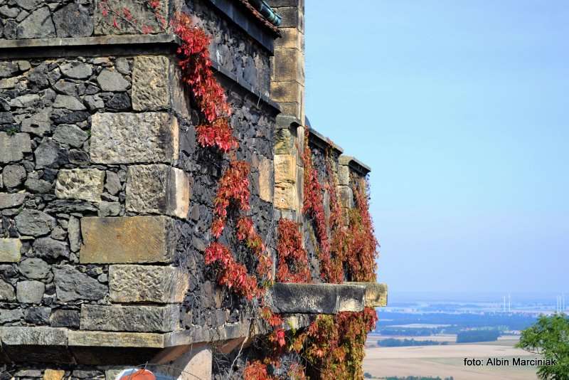 Zamek Grodziec foto Albin Marciniak 42