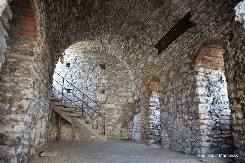 Zamek Ogrodzieniec 23