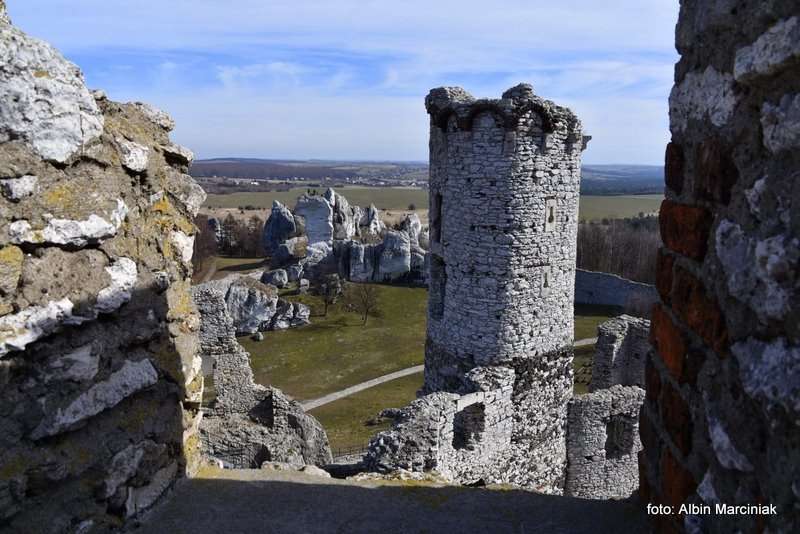 Zamek Ogrodzieniec 26