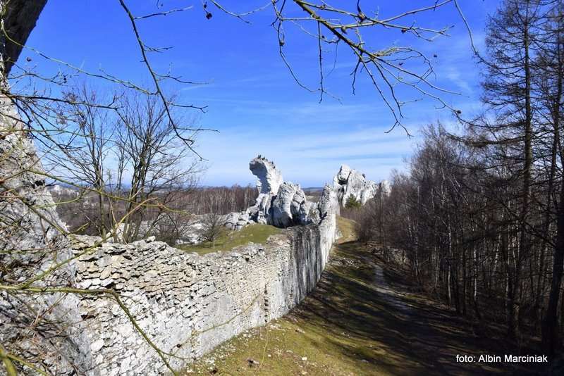 Zamek Ogrodzieniec 41