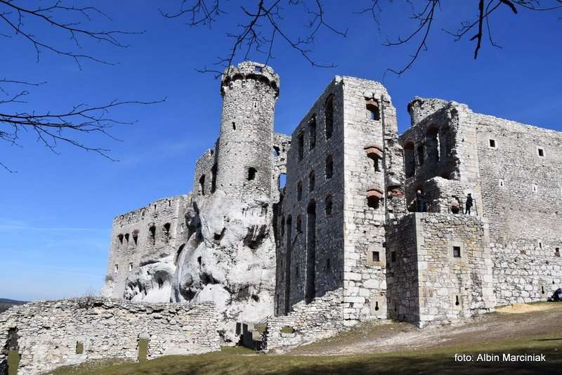 Zamek Ogrodzieniec 43