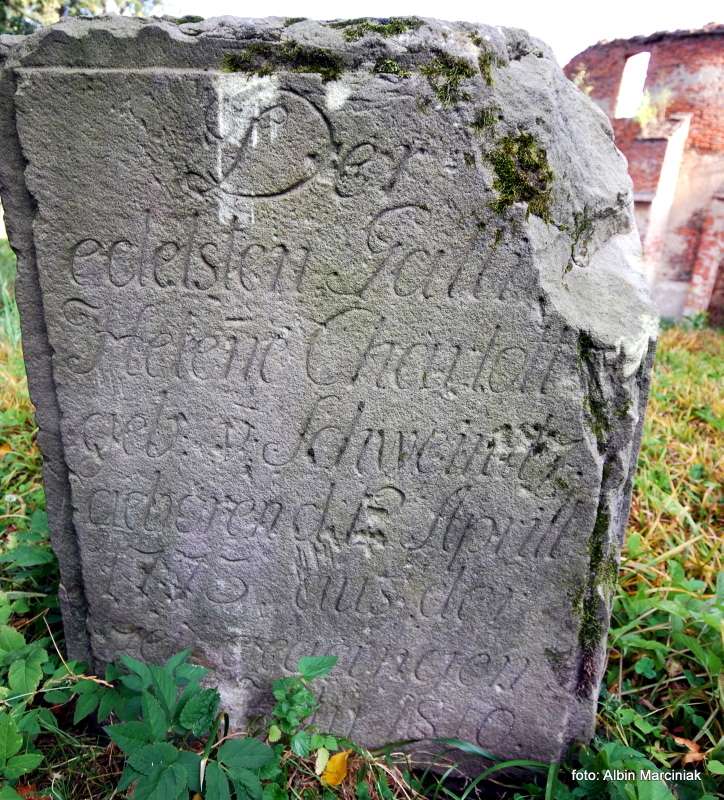 Zamek Owiesno folwark 4