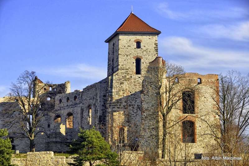 Zamek Tenczyn w Rudnie 38