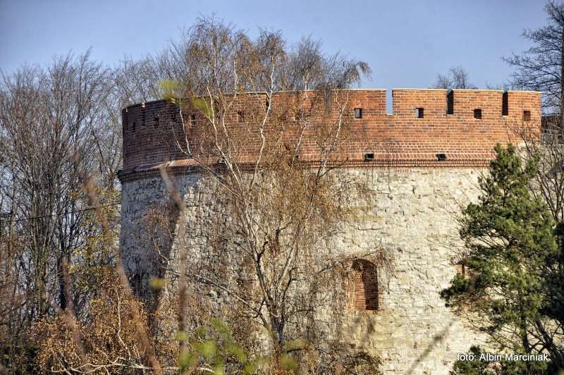 Zamek Tenczyn w Rudnie 40