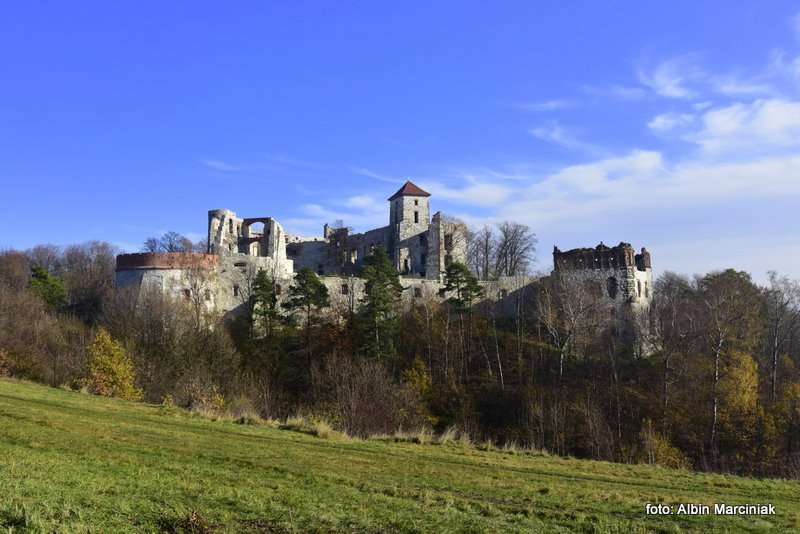 Zamek Tenczyn w Rudnie 46