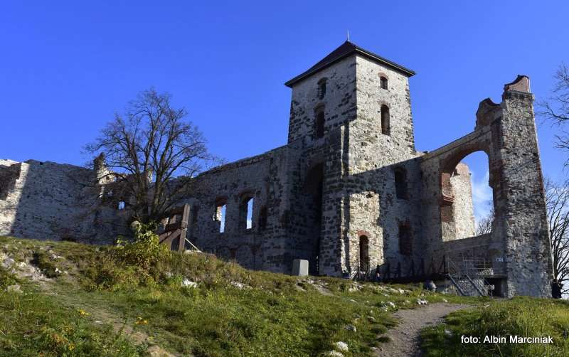 Zamek Tenczyn w Rudnie 8