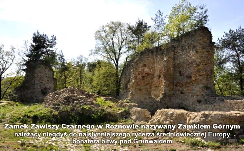 Zamek Zawiszy Czarnego w Rożnowie