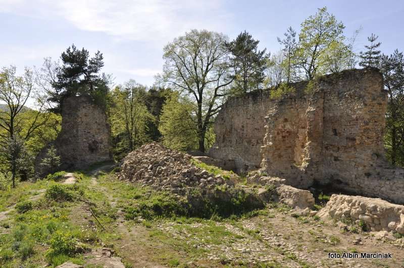 Zamek Zawiszy w Rożnowie 6