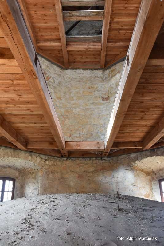 Zamek Janowiec wiosna 2019 foto Albin Marciniak 107