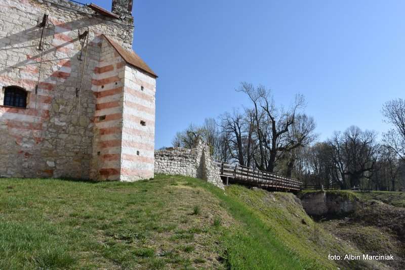 Zamek Janowiec wiosna 2019 foto Albin Marciniak 251