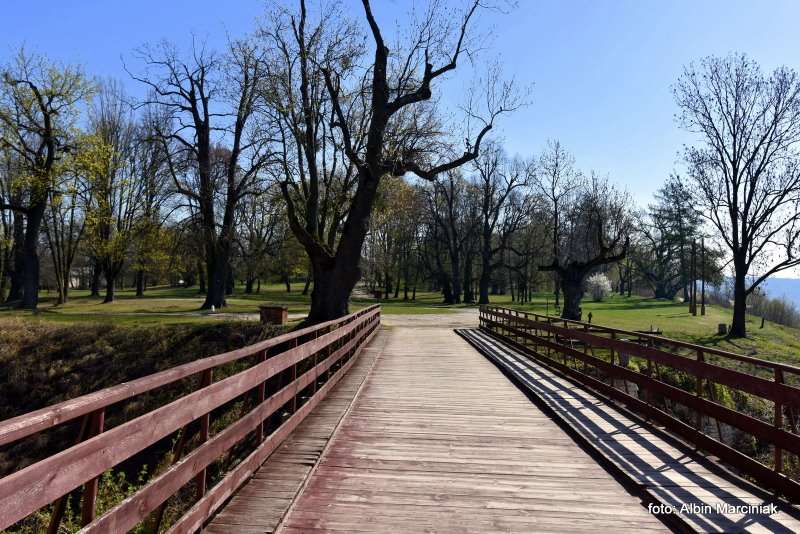 Zamek Janowiec wiosna 2019 foto Albin Marciniak 258